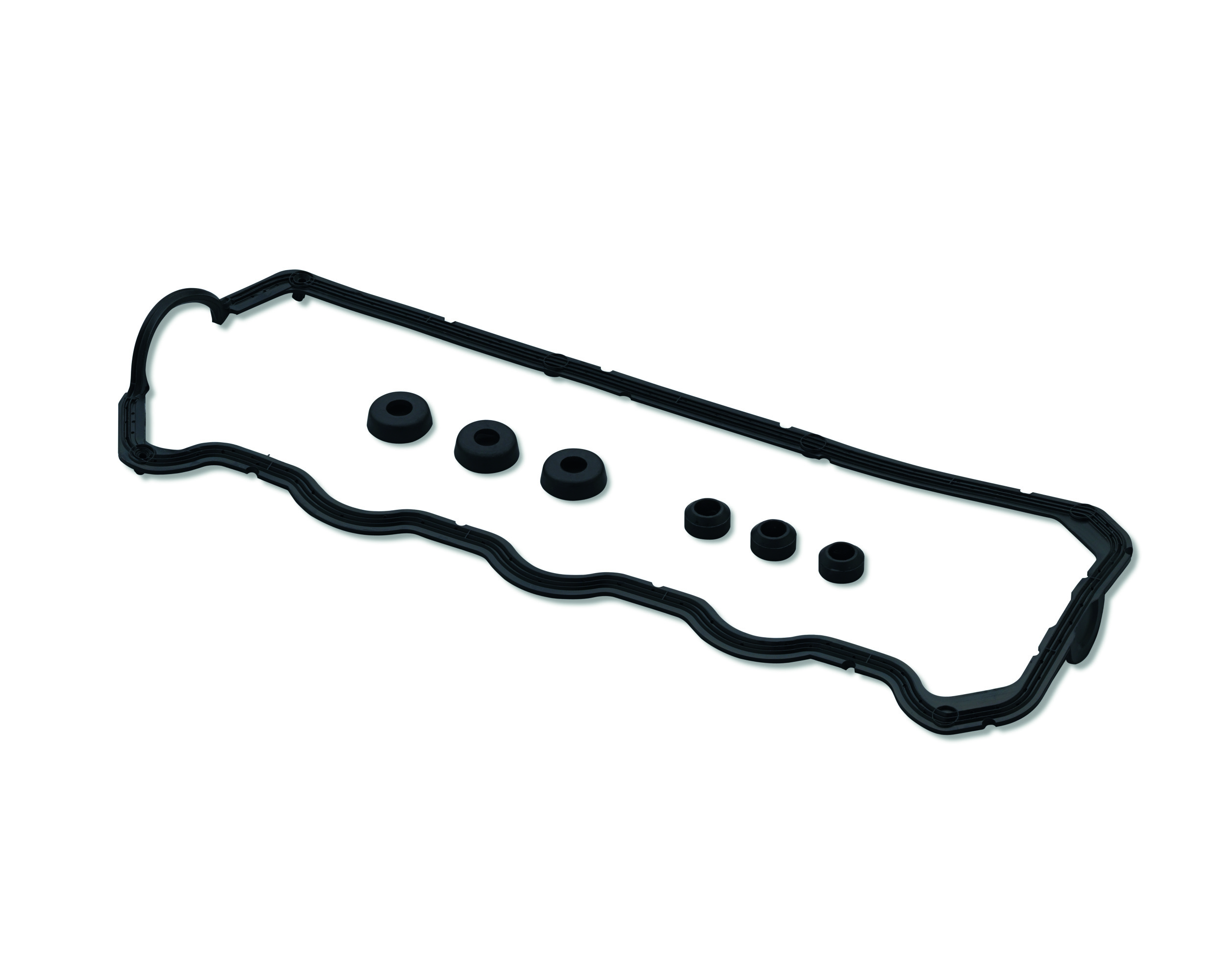 KLEPPENDEKSELDICHTINGEN